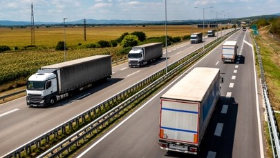 Fala upadłości, przewoźnicy alarmują. "Przedsiębiorstwa umierają"