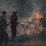 Fala upałów i pożary dają się we znaki w Portugalii
