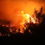Fala upałów w Europie. Pożary w Hiszpanii i Włoszech