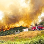 Fala upałów w Portugalii: Płoną lasy i nieużytki rolne