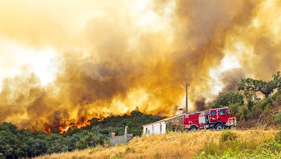 Fala upałów w Portugalii: Płoną lasy i nieużytki rolne