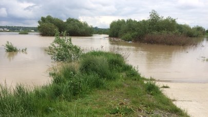 Fala wezbraniowa coraz bliżej Sandomierza!
