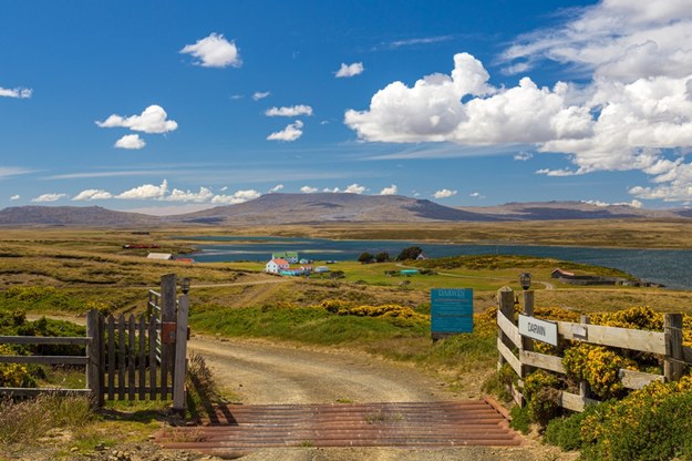 Falklandy /Shutterstock