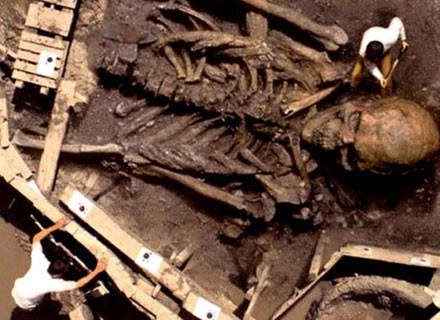 Fałszywa fotografia szczątków giganta odkrytego przez archeologów. /MWMedia