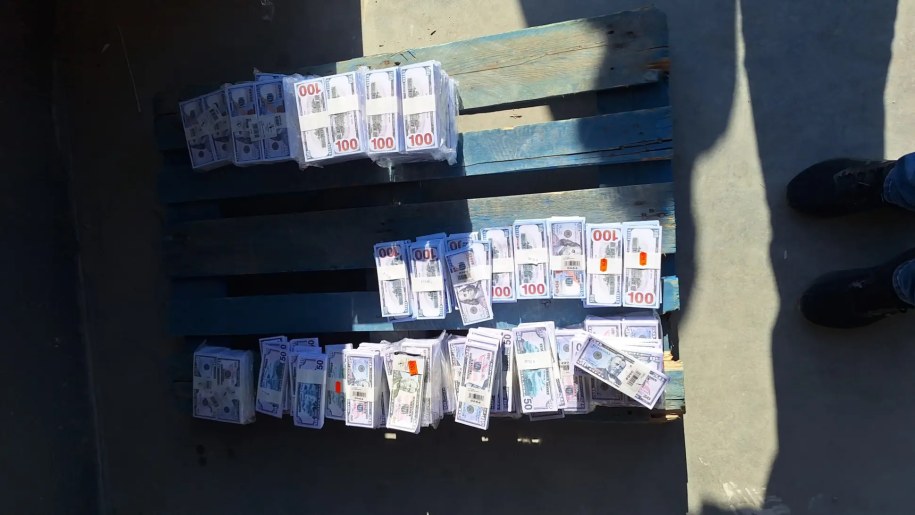 Fałszywa gotówka przechwycona w ramach międzynarodowej operacji służb /Europol /