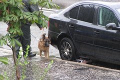 Fałszywy alarm bombowy w miejscu strzelaniny w Bratysławie