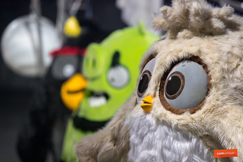 Fani Angry Birdsów, miłośnicy łyżwiarstwa i rodzinnej rozrywki mogą spodziewać się wspaniałego show /materiały prasowe