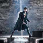 "Fantastyczne Zwierzęta": Odkryj, gdzie obejrzeć całą serię z uniwersum Harry'ego Pottera!