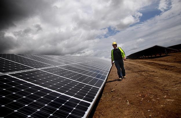 Farma solarna. Fot. Matt Cardy /Getty Images/Flash Press Media