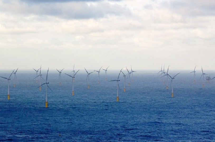Farma wiatrowa na morzu niedaleko portu Zeebrugge w Belgii /AFP
