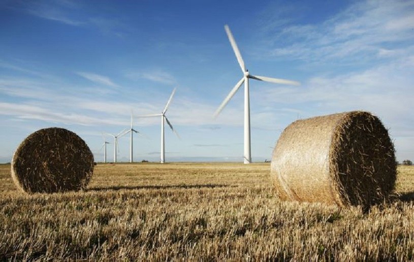 Farma wiatrowa w Watchfield koło Swindon (Anglia) /AFP