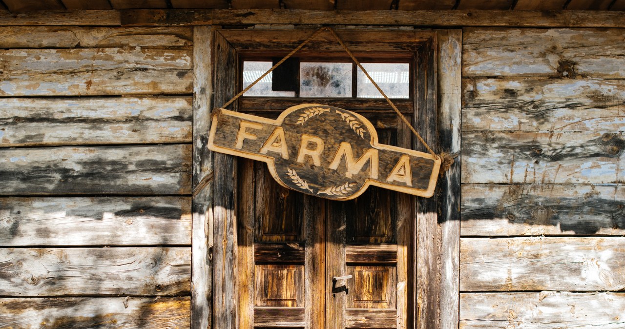 Farma /Kala Kiełbasińska /Polsat