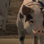 Farming Simulator 17: Powstanie dodatek ze świniobiciem?