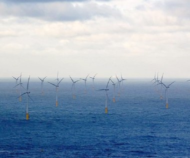 Farmy wiatrowe na belgijskim Morzu Północnym dostarczyły prąd dla 2 mln domostw w 2021 roku