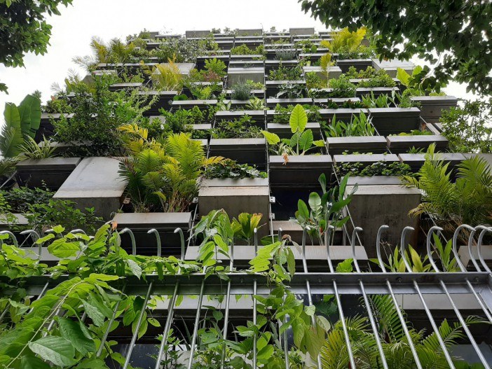 Fasada budynku pokryta jest gęstą roślinnością /VTN Architects /materiały prasowe