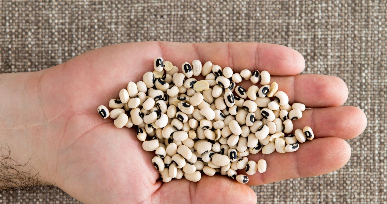 Fasola czarne oczko to produkt bogato odżywczy / oocoskun /123RF/PICSEL