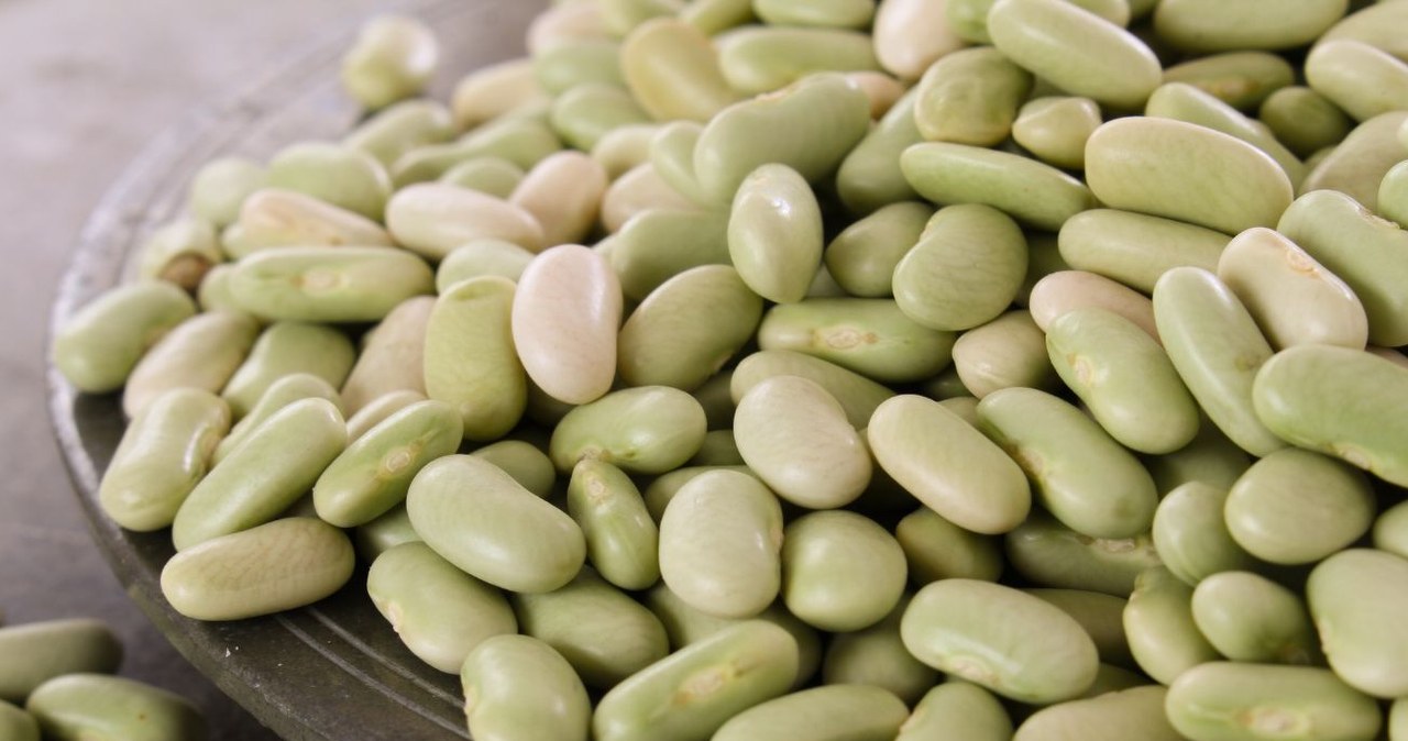 Fasola flageolet jest nazywana również flażoletką. /Langan /Canva Pro