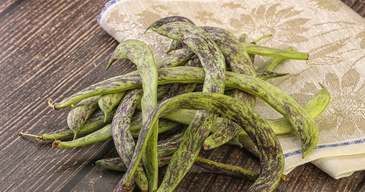 Fasolka szparagowa Dragon Tongue jest dobrym źródłem składników odżywczych /andreyst /123RF/PICSEL