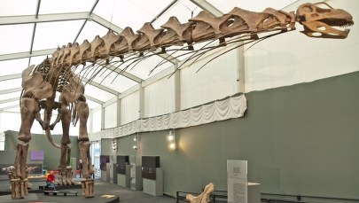 Fast Food to pomysł... dinozaurów