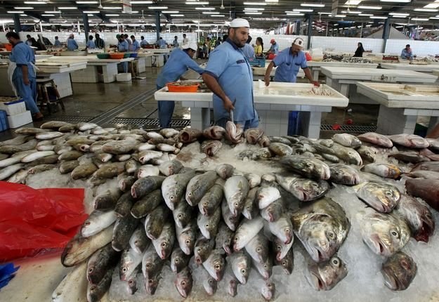 Fatalna informacja dla smakoszy ryb! /AFP