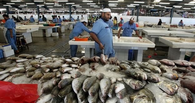 Fatalna informacja dla smakoszy ryb! /AFP