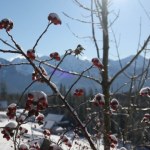 Tatrzański Park Narodowy Fatalne warunki w Tatrach. TPN ostrzega turystów: „Lód może się załamać!”