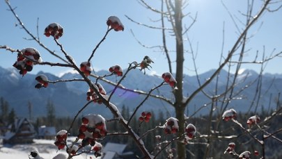 Fatalne warunki w Tatrach. TPN ostrzega turystów: „Lód może się załamać!”