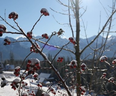 Fatalne warunki w Tatrach. TPN ostrzega turystów: „Lód może się załamać!”