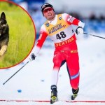 ​Fatalny trening mistrzów świata. "Pies był  jakby w amoku"