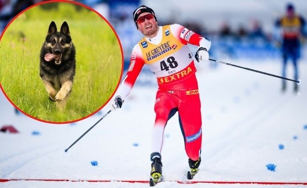 ​Fatalny trening mistrzów świata. "Pies był  jakby w amoku"