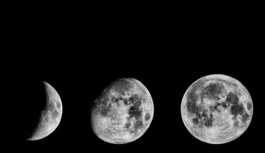 Fazy Księżyca w 2024 roku. Kiedy pełnia, kiedy nów i kwadry?