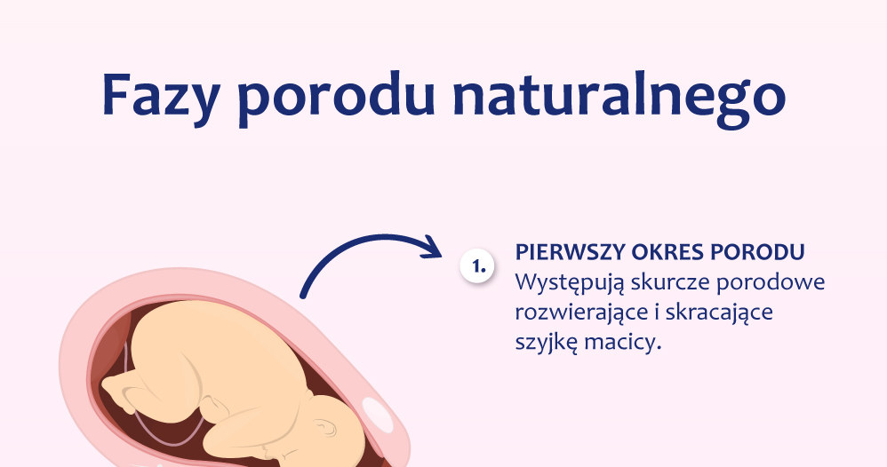 Fazy porodu naturalnego - infogrfika /materiały promocyjne