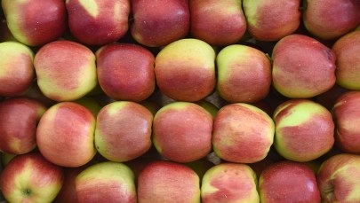 Felerna partia jabłek zostanie wycofana także z Polski