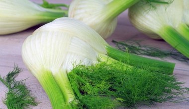 Фенхель - дбайливий родич селери. Покращує травлення та позбавляє від печії