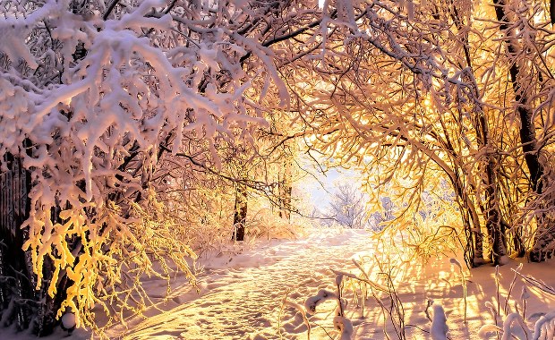 Fenologiczne pory roku się przesuwają. Co to oznacza?