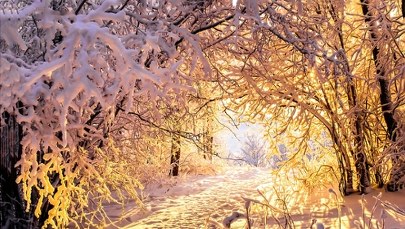 Fenologiczne pory roku się przesuwają. Co to oznacza?