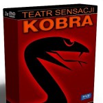 Fenomen "Kobry": Wyludniały się ulice