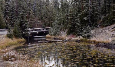 Fenomen na skalę światową skrywa się w parku narodowym Yellowstone. Nie jest to wielki gejzer