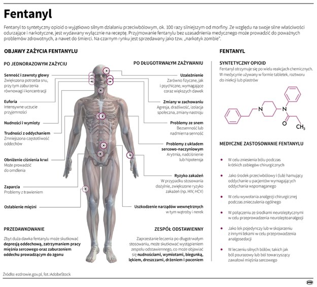 Fentanyl - najważniejsze informacje /Mateusz Krymski /PAP