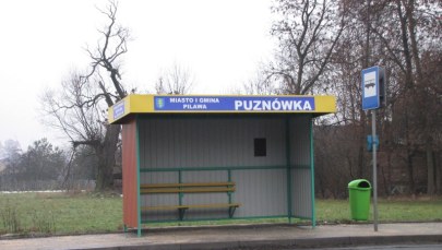 Feralne skrzyżowanie w Puznówce 