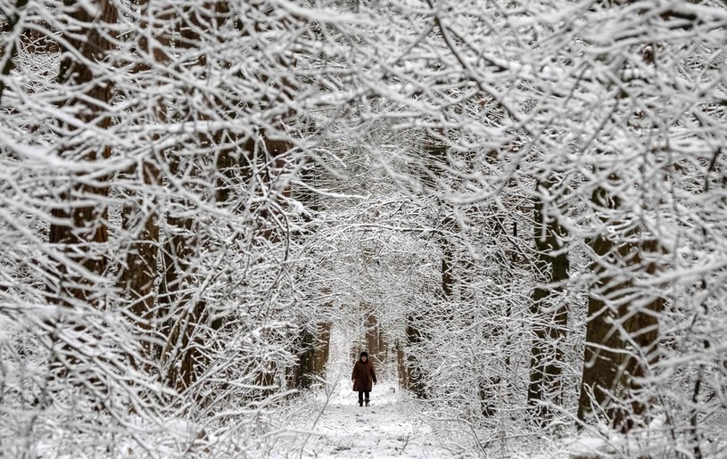 Ferie zimowe będą ograniczone /AFP