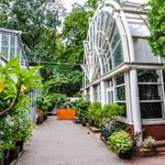 Festiwal Zbiory w warszawskim ogrodzie botanicznym