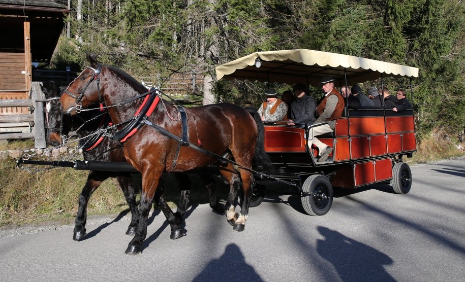 Fiakrzy podkreślają, że każdy z nich płaci podatek w formie ryczałtu /Grzegorz Momot /PAP