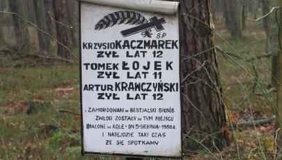 Fiasko "ustawy o bestiach". Trynkiewicz, pedofil-morderca w lutym na wolności?