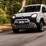Fiat chce mieć tani elektryczny model. Panda zagrozi Dacii Spring?