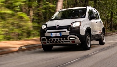 Fiat chce mieć tani elektryczny model. Panda zagrozi Dacii Spring?