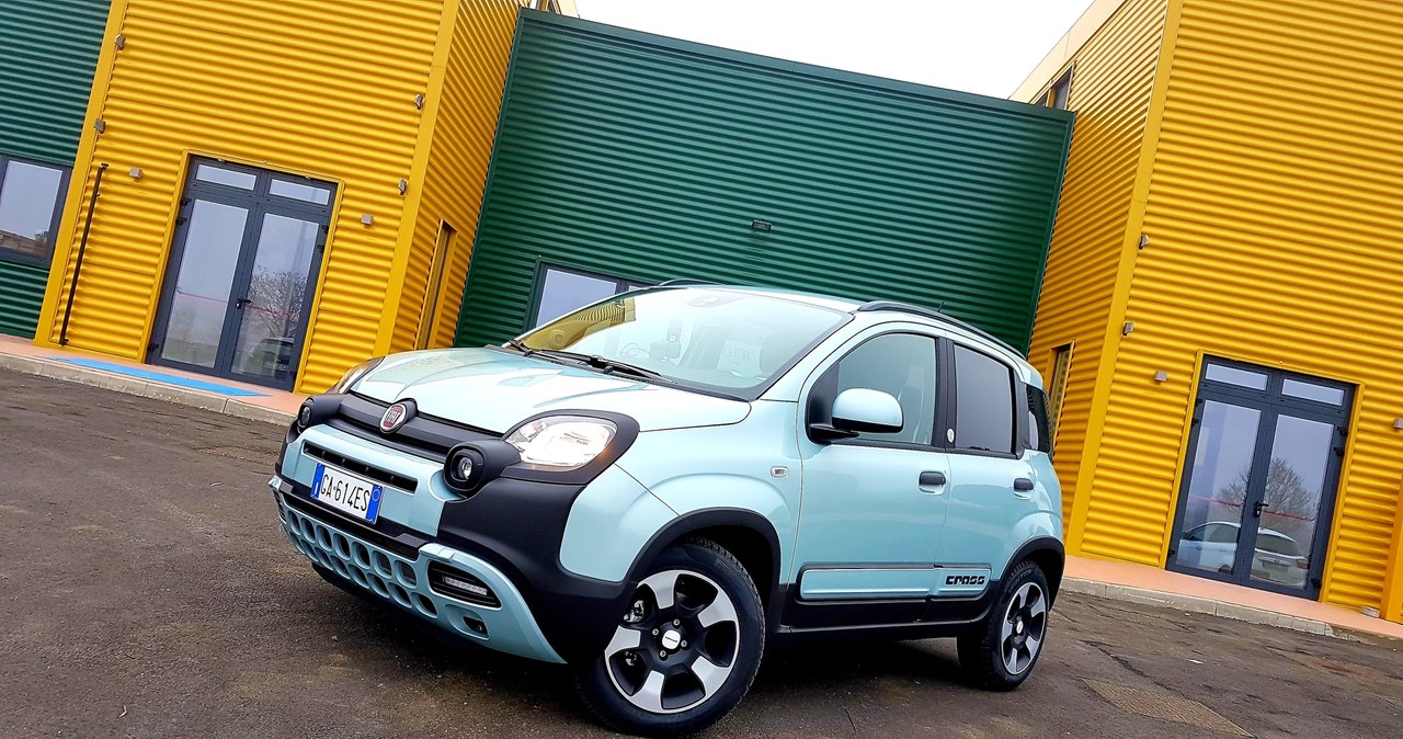 Fiat Panda Hybrid /INTERIA.PL