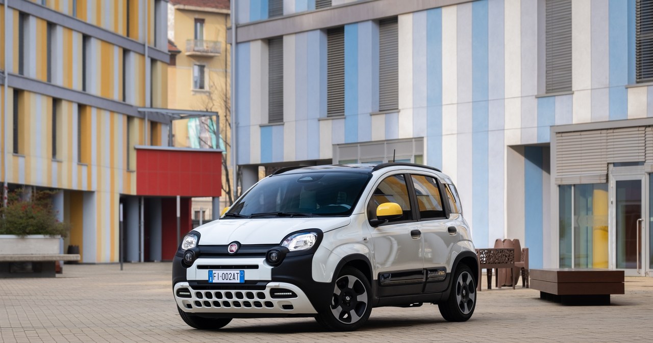 Fiat Panda w wersji Pandina /materiały prasowe