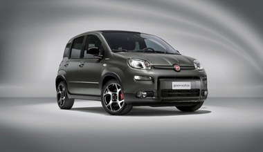 Fiat Panda zmodernizowany na 40-lecie modelu