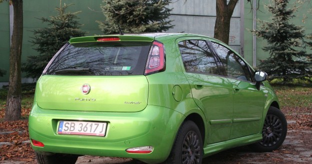 Fiat Punto TwinAir /INTERIA.PL